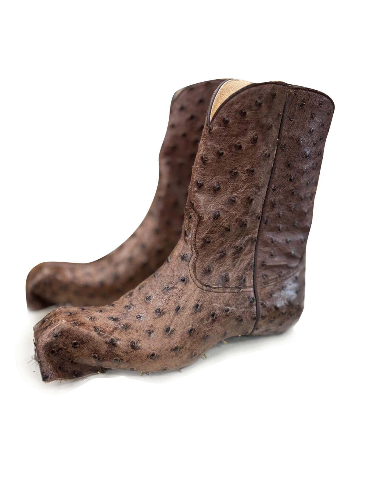 Cosmic Zebra — Brown zebra western boot in genuine ostrich (view 2)